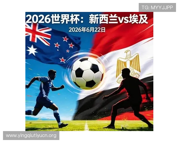 世界杯新西兰埃及比赛场地的安全措施与观众服务保障情况